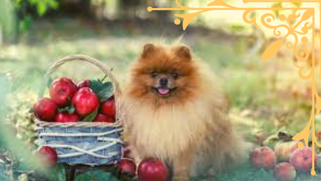 wie viel äpfel darf ein hund am tag essen