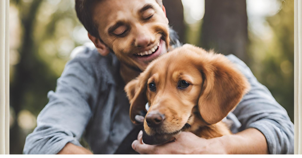 wem gehört der hund rechtlich