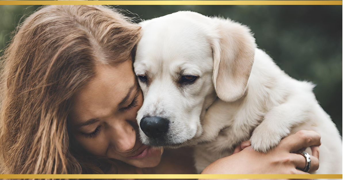 warum ist mein hund so anhänglich