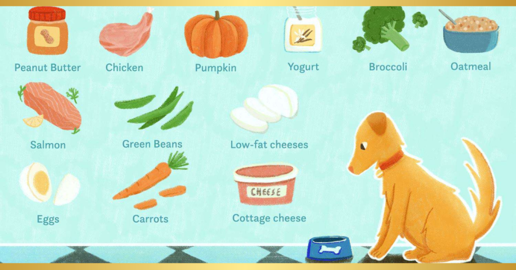 was dürfen hunde essen liste pdf