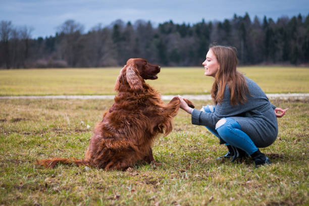wie verhalten sie sich mann mit hund