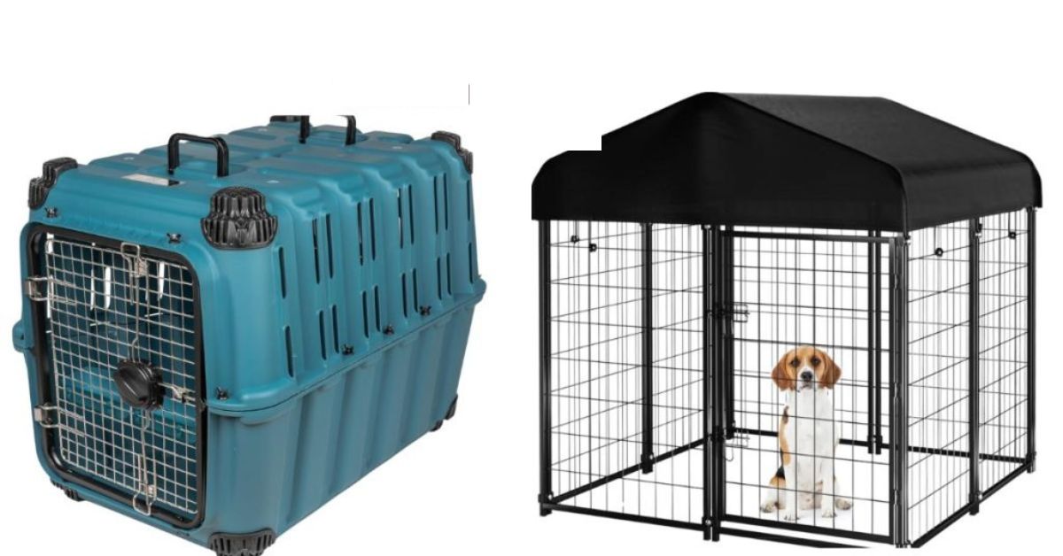 Bench Hundebox