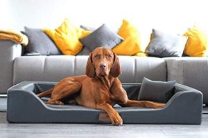 Orthopädisches Hundebett Latex Kunstleder