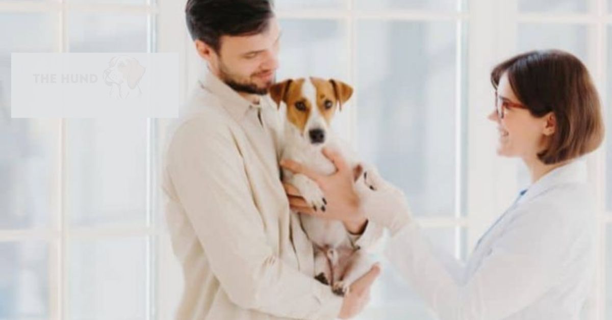 wurmkur hund