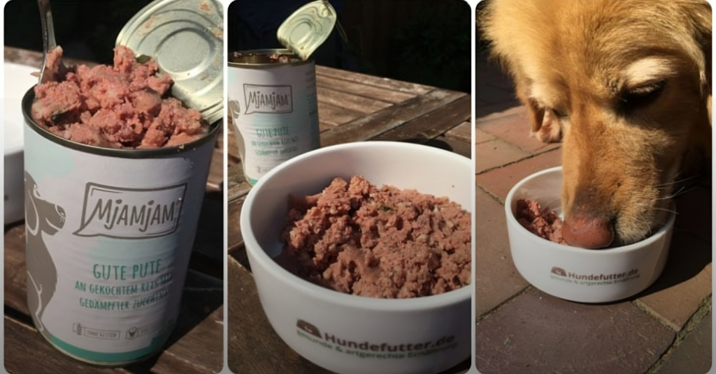 Mjamjam Hundefutter
