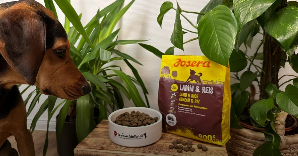 josera trockenfutter