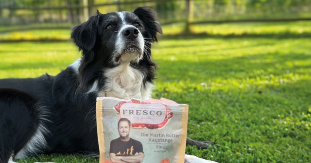fresco hundefutter test